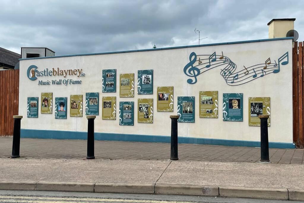 Willa Glenmount Castleblayney Zewnętrze zdjęcie
