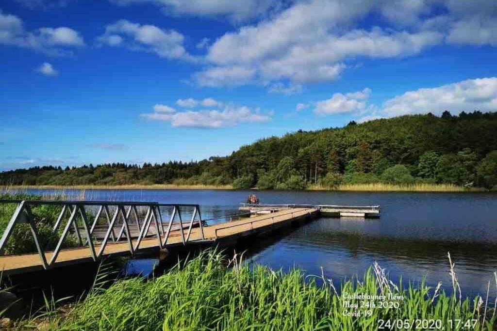 Willa Glenmount Castleblayney Zewnętrze zdjęcie