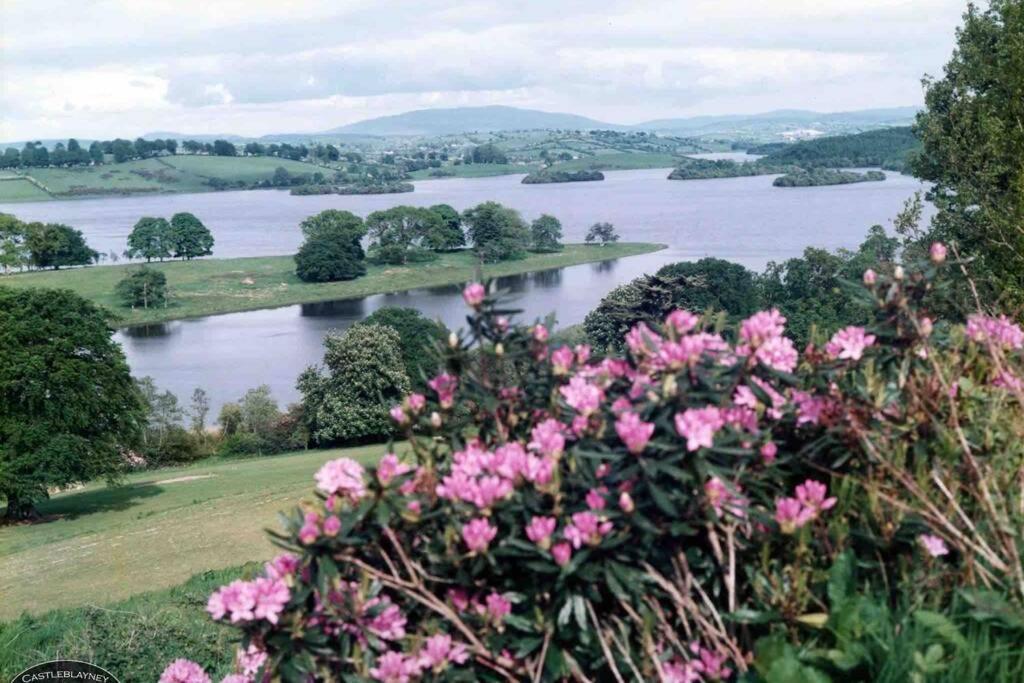Willa Glenmount Castleblayney Zewnętrze zdjęcie