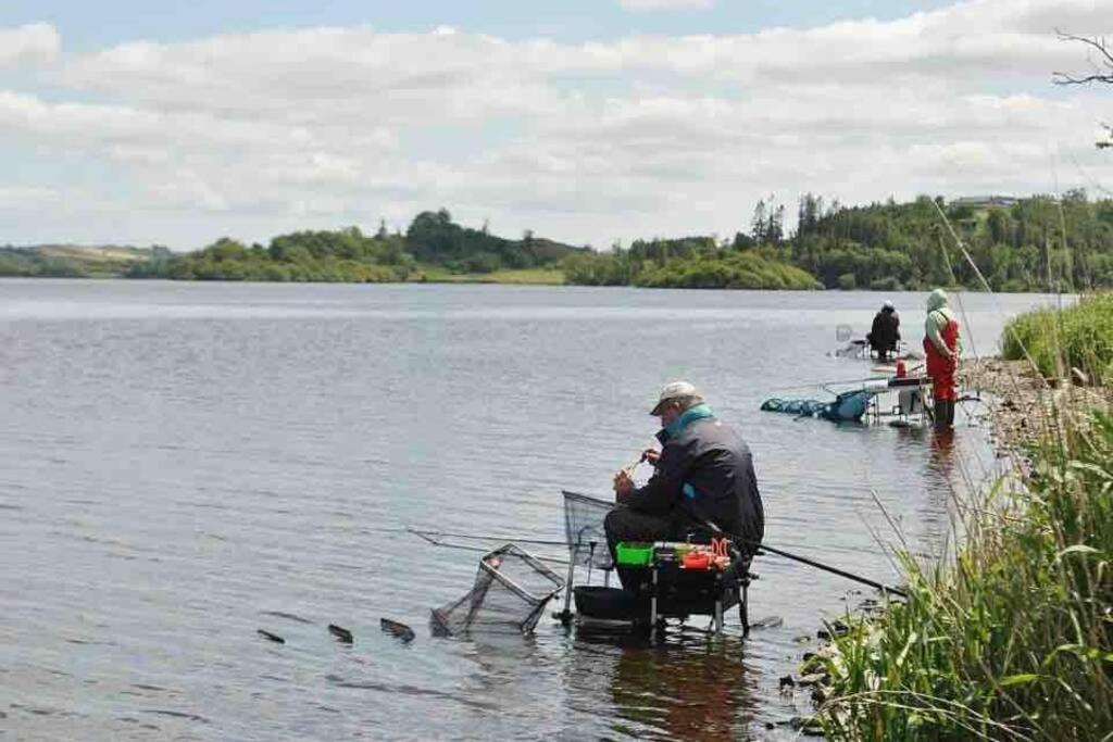 Willa Glenmount Castleblayney Zewnętrze zdjęcie