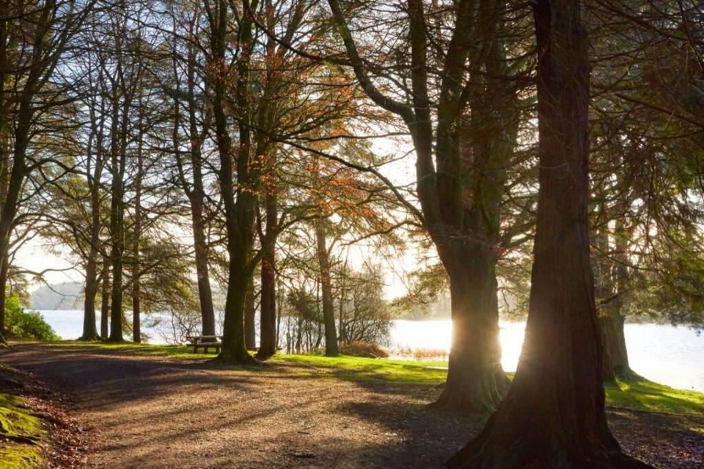 Willa Glenmount Castleblayney Zewnętrze zdjęcie