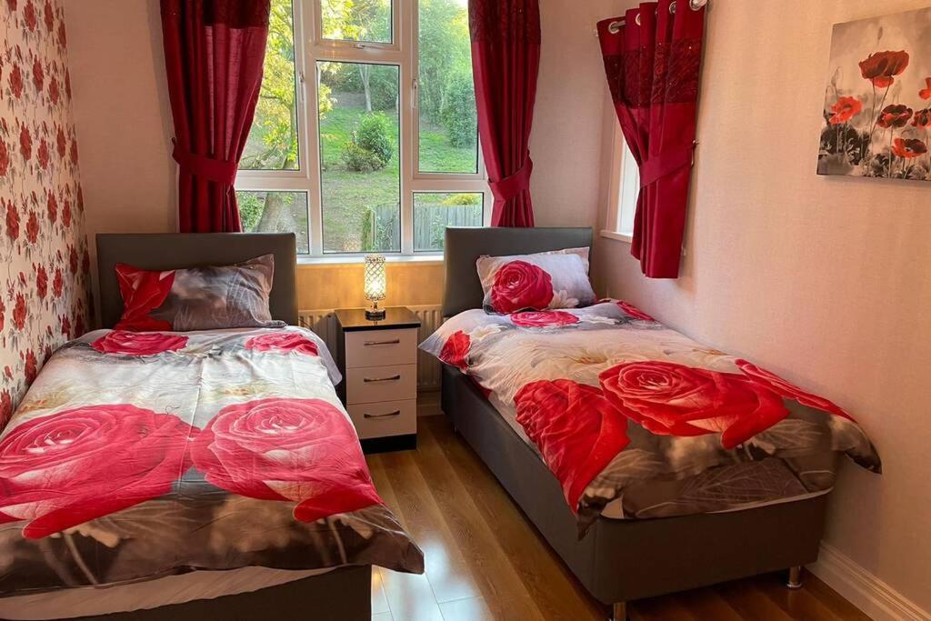 Willa Glenmount Castleblayney Zewnętrze zdjęcie