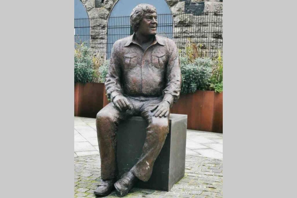 Willa Glenmount Castleblayney Zewnętrze zdjęcie